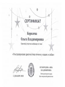 Сертификат Королева УЗИ 2021