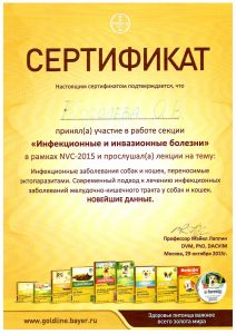 Сертификат Королёва 2015 Инфекционные болезни
