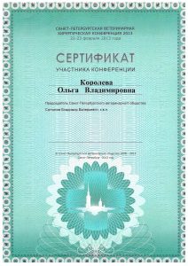 Сертификат Королёва Конференция 2013 год