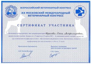 Сертификат Королёва Конгресс 2012