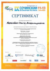 Сертификат Королёва Сочи