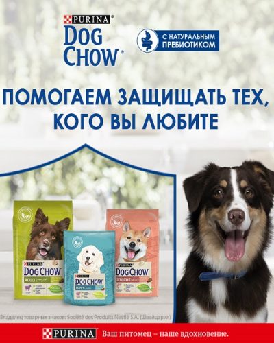 DOG SHOW с натуральным пребиотиком
