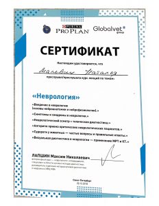 Сертификат Неврология