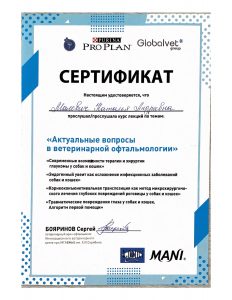 Сертификат актуальные вопросы офтальмологии