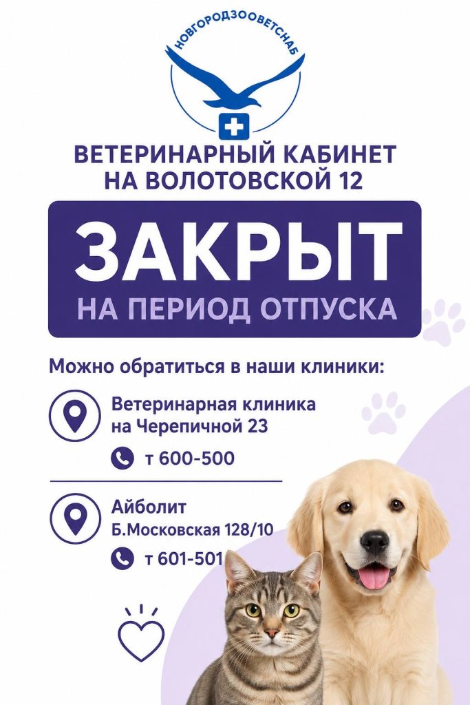 Временно не работает